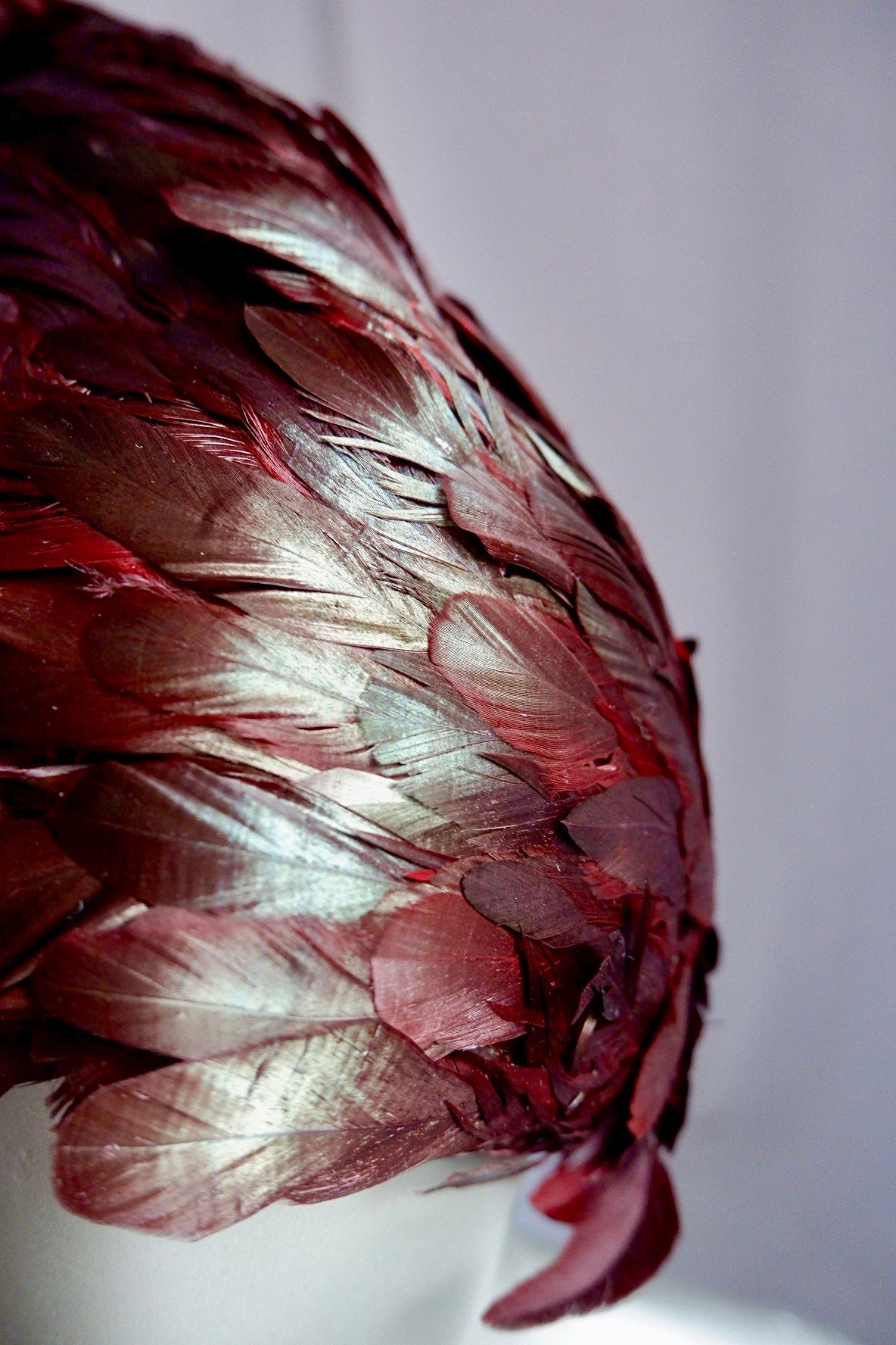 Vintage Jack McConnell Feathered Avant-Garde Hat – Garnet Coque & Goose Plumage with Signature Red Feather