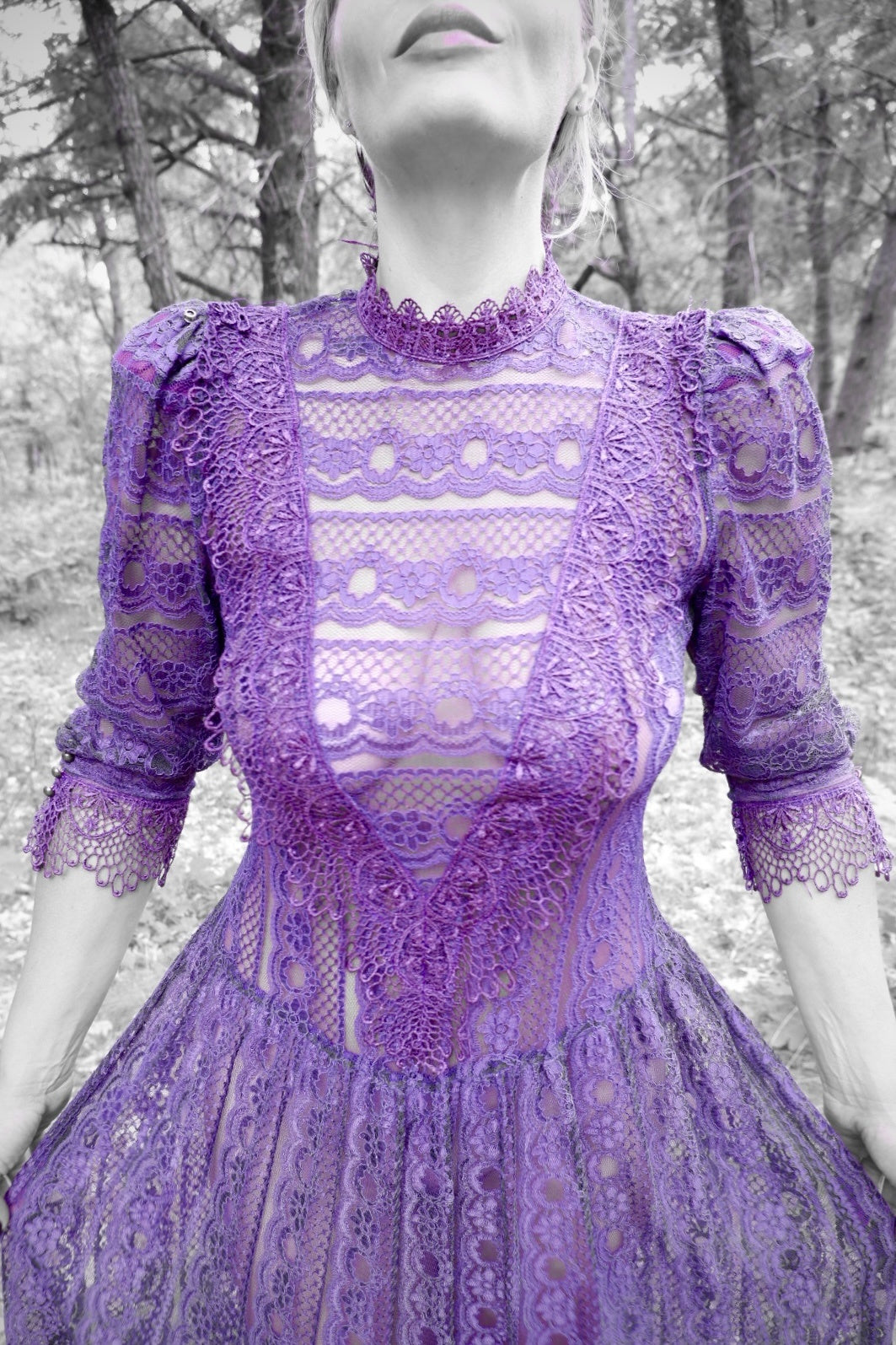Close-up of the lace bodice, scalloped collar and cuffs on a plum lace dress (artistic color edit)