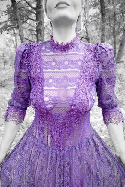 Close-up of the lace bodice, scalloped collar and cuffs on a plum lace dress (artistic color edit)