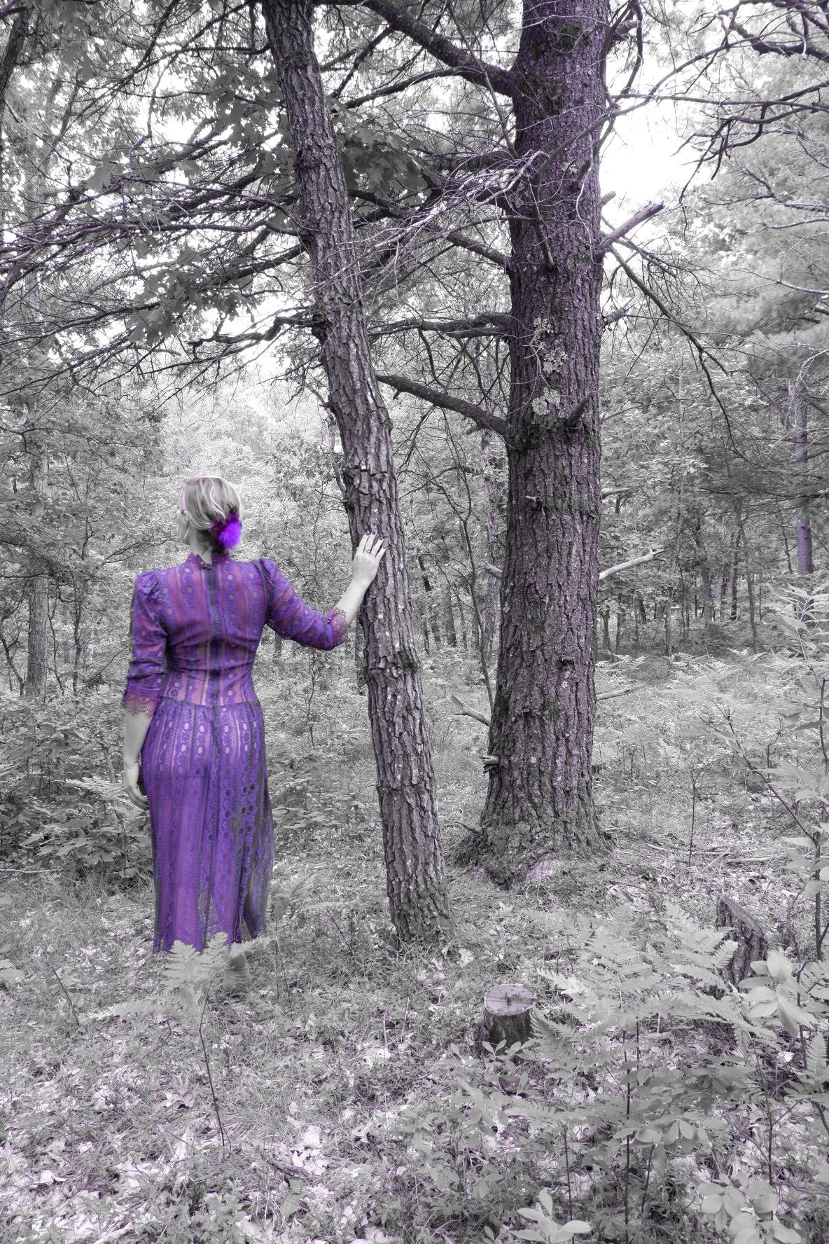 Model in a plum lace maxi dress with a hand on a pine tree in the woods (artistic color edit)